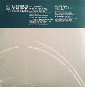 INCOGNITO / インコグニート / OUT OF THE STORM
