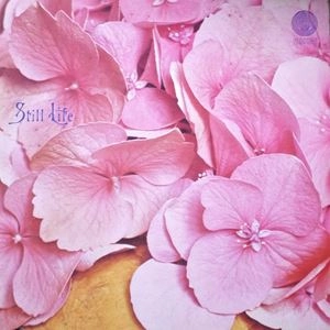 STILL LIFE / スティル・ライフ / STILL LIFE