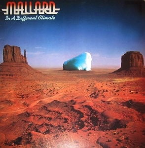 MALLARD / IN A DIFFERENT CLIMATE