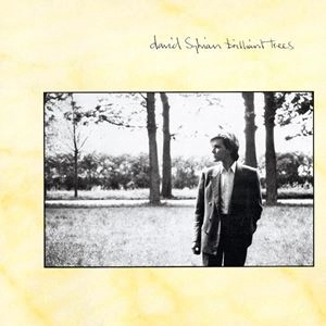 DAVID SYLVIAN / デヴィッド・シルヴィアン / BRILLIANT TREES