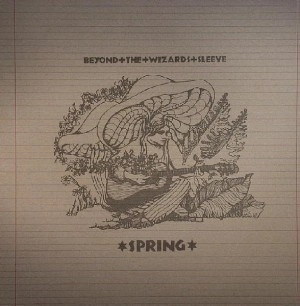 BEYOND THE WIZARDS SLEEVE / SPRING