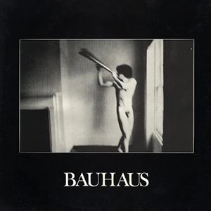BAUHAUS / バウハウス / IN THE FLAT FIELD