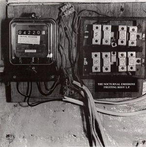 NOCTURNAL EMISSIONS / ノクターナル・エミッションズ / FRUITING BODY L.P.