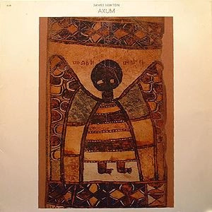 JAMES NEWTON / ジェイムス・ニュートン / AXUM
