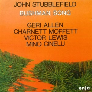 JOHN STUBBLEFIELD / ジョン・スタッブルフィールド / BUSHMAN SONG