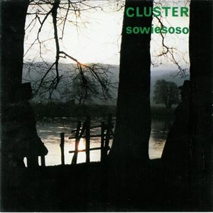CLUSTER / クラスター / SOWIESOSO