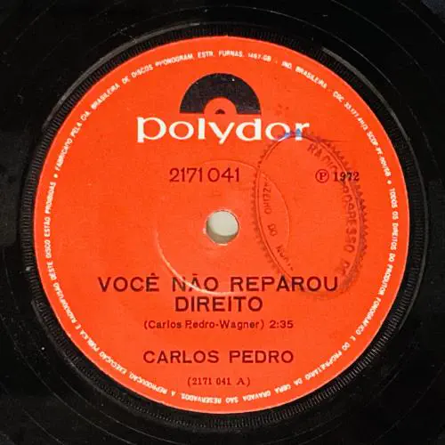 CARLOS PEDRO / VOCE NAO REPAROU DIR