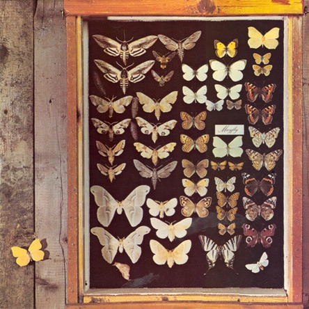 MAYFLY / メイフライ / MAYFLY