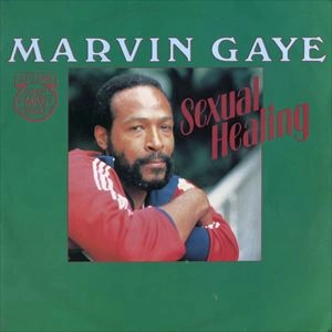 MARVIN GAYE / マーヴィン・ゲイ / SEXUAL HEALING