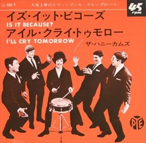HONEYCOMBS / ハニーカムズ / イズ･イット･ビコーズ