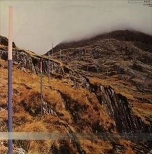 SECTION 25 / セクション25 / フロム･ザ･ヒップ
