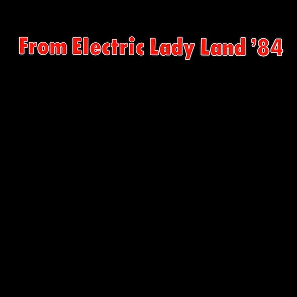 V.A. / オムニバス / FROM ELECTRIC LADY LAND '84