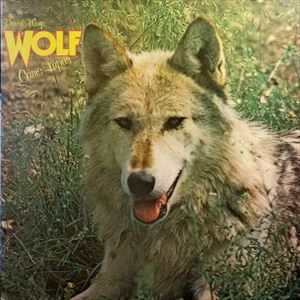 DARRYL WAY'S WOLF / ダリル・ウェイズ・ウルフ / ダリル･ウェイとウルフ