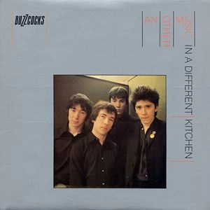 BUZZCOCKS / バズコックス / アナザー･ミュージック