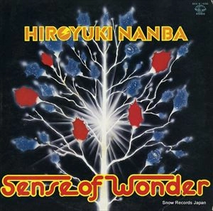 HIROYUKI NAMBA / 難波弘之 / センス･オブ･ワンダー