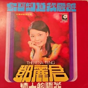 TERESA TENG / テレサ・テン(鄧麗君) / 情人的陽光 / TERESA TENG