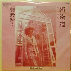 絹街道 / HARUOMI HOSONO / 細野晴臣 / 日本のロック・J-POP
