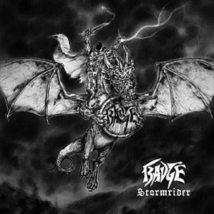 BADGE (METAL) / STORMRIDER