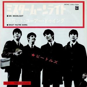 BEATLES / ビートルズ / ミスター･ムーンライト