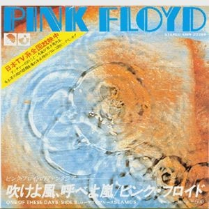 PINK FLOYD / ピンク・フロイド / 吹けよ風、呼べよ嵐