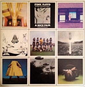 PINK FLOYD / ピンク・フロイド / ナイス･ペア