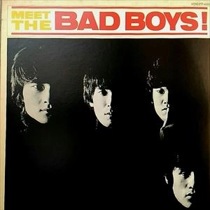 THE BAD BOYS / ザ・バッドボーイズ / MEET THE BAD BOYS