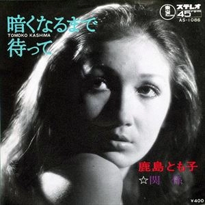 鹿島とも子 / 暗くなるまで待って