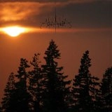 ADDAURA / BURNING FOR THE ANCIENT