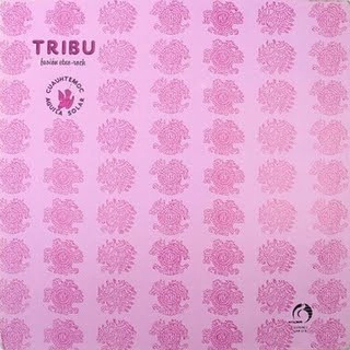 TRIBU / CUAUHTEMOC AGUILA SOLAR