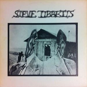 STEVE TIBBETTS / スティーヴ・ティべッツ / STEVE TIBBETTS