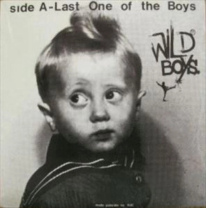 WILD BOYS (PUNK) / LAST ONE OF THE BOYS