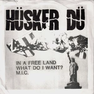 HUSKER DU / ハスカーデュー / IN A FREE LAND