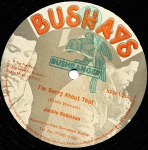 JACKIE ROBINSON / I'M SORRY ABOUT THAT