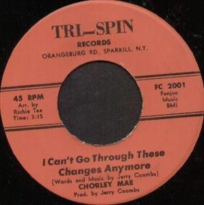 JERRY COOMBS BAND / I CAN'T GO THROUGH THESE CHANGES ANYMORE