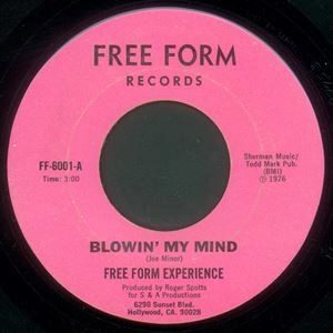 FREE FORM EXPERIENCE / BLOWIN' MY MIND