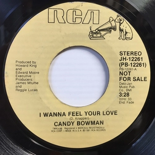 CANDY BOWMAN / I WANNA FEEL YOUR LO