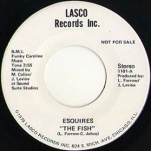 ESQUIRES / エスクワイアーズ / FISH / MY LADY