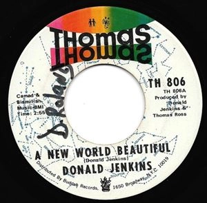 DONALD JENKINS / NEW WORLD BEAUTIFUL