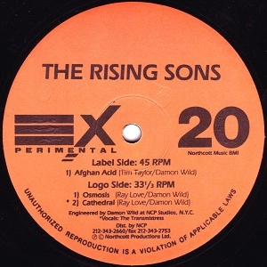 RISING SONS (DAMON WILD & TIM TAYLOR) / AFGHAN ACID