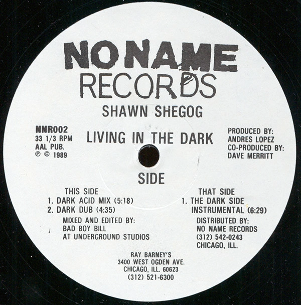 SHAWN SHEGOG / LIVING IN THE DARK SIDE