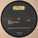 SW/SVN / TRACK 1