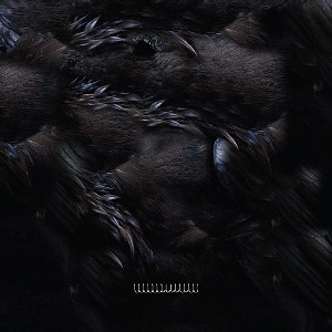 ZK (ELECTRONICA) / I II III IV V VI VII VIII 