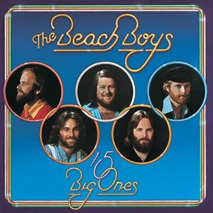 BEACH BOYS / ビーチ・ボーイズ / 15 BIG ONES