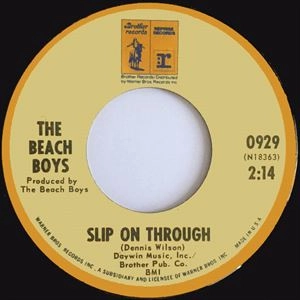BEACH BOYS / ビーチ・ボーイズ / SLIP ON THROUGH