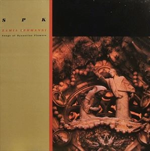 SPK / エスピーケイ / ZAMIA LEHMANNI
