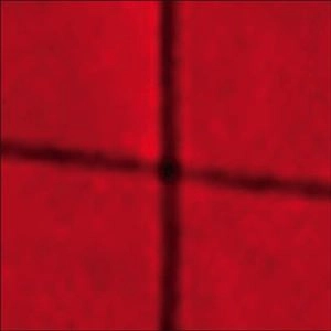 WILLIAM BASINSKI / ウィリアム・バシンスキー / RED SCORE IN TILE