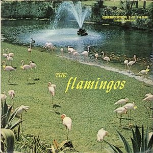 FLAMINGOS / フラミンゴス / FLAMINGOS
