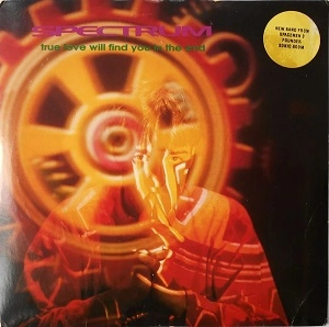 SPECTRUM / TRUE LOVE WILL FIND YOU IN THE END