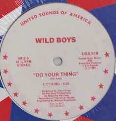WILD BOYS / DO YOUR THING