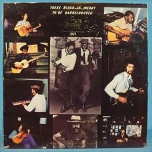 V.A. / オムニバス / THESE BLUES IS MEANT TO BE BARRELHOUSED